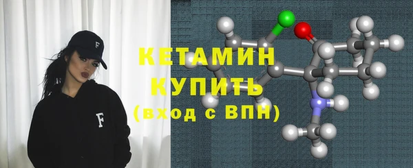 хмурый Аркадак