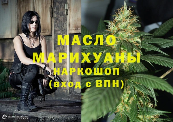 хмурый Аркадак