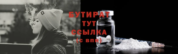хмурый Аркадак