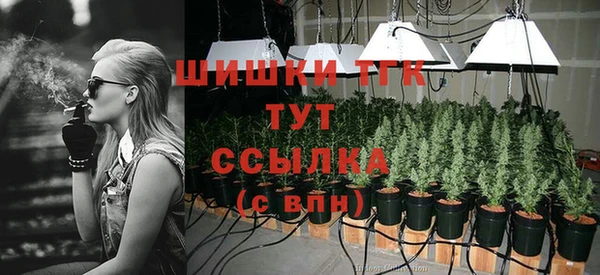 хмурый Аркадак