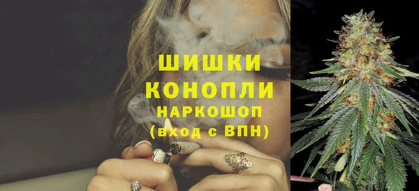 хмурый Аркадак