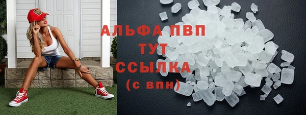 хмурый Аркадак
