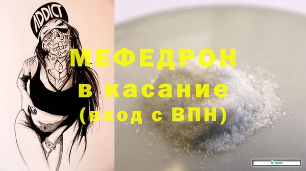 хмурый Аркадак