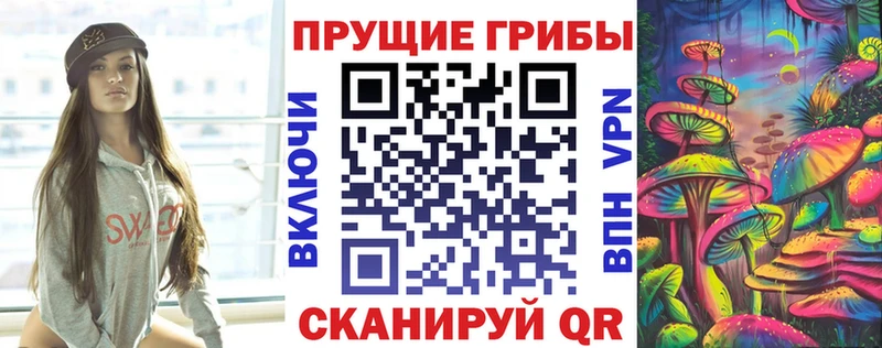 KRAKEN ссылки Сусуман Галлюциногенные грибы MAGIC MUSHROOMS продажа наркотиков